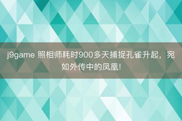 j9game 照相师耗时900多天捕捉孔雀升起，宛如外传中的凤凰!