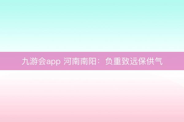 九游会app 河南南阳：负重致远保供气