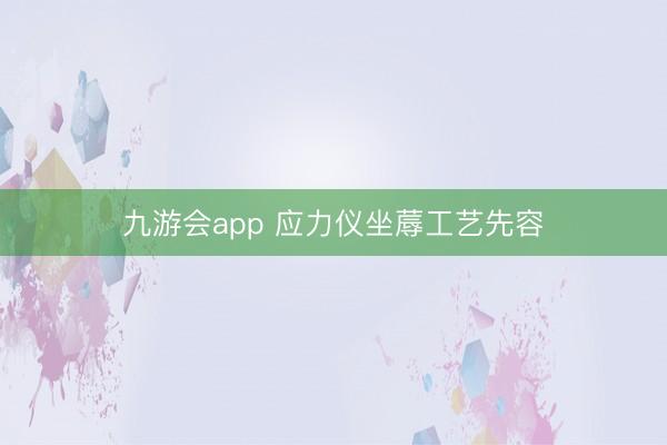 九游会app 应力仪坐蓐工艺先容
