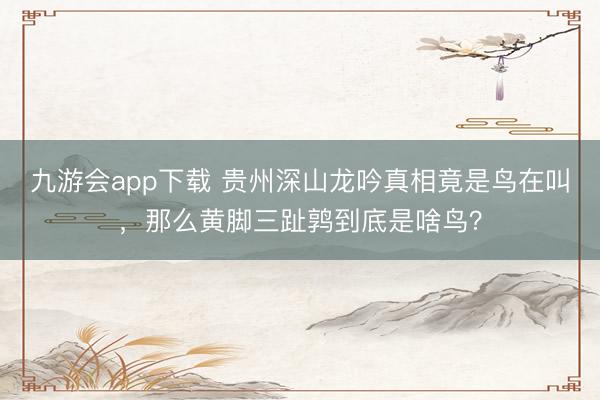九游会app下载 贵州深山龙吟真相竟是鸟在叫,那么黄脚三趾鹑到底是啥鸟?
