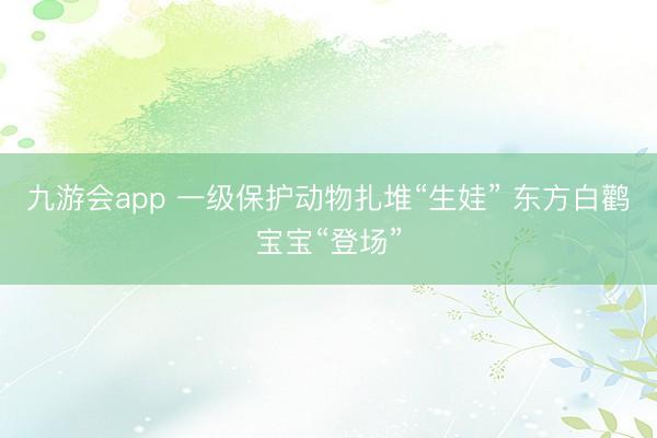 九游会app 一级保护动物扎堆“生娃” 东方白鹳宝宝“登场”