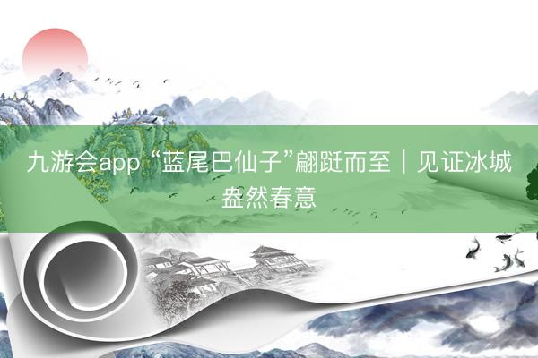 九游会app “蓝尾巴仙子”翩跹而至｜见证冰城盎然春意