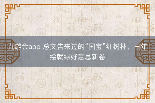 九游会app 总文告来过的“国宝”红树林,三年绘就绿好意思新卷