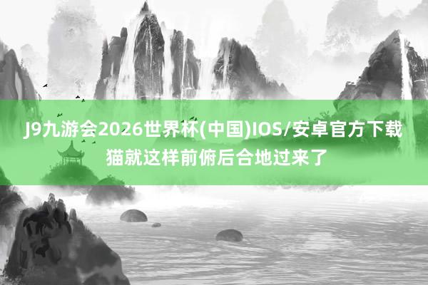J9九游会2026世界杯(中国)IOS/安卓官方下载 猫就这样前俯后合地过来了