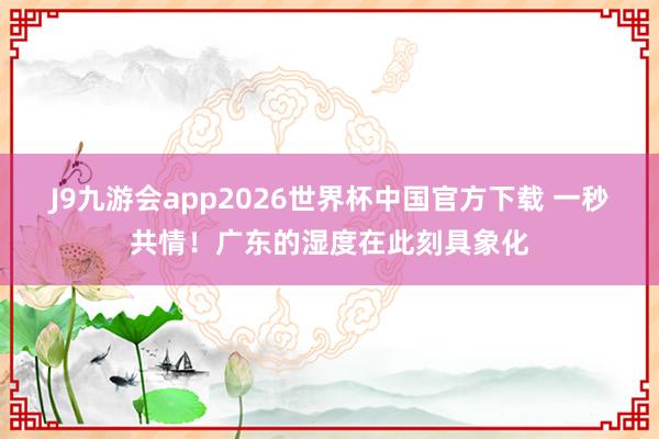 J9九游会app2026世界杯中国官方下载 一秒共情！广东的湿度在此刻具象化