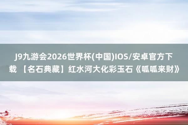 J9九游会2026世界杯(中国)IOS/安卓官方下载 【名石典藏】红水河大化彩玉石《呱呱来财》