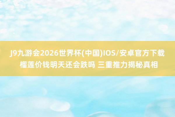 J9九游会2026世界杯(中国)IOS/安卓官方下载 榴莲价钱明天还会跌吗 三重推力揭秘真相