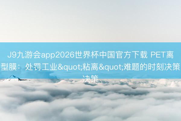 J9九游会app2026世界杯中国官方下载 PET离型膜：处罚工业"粘离"难题的时刻决策