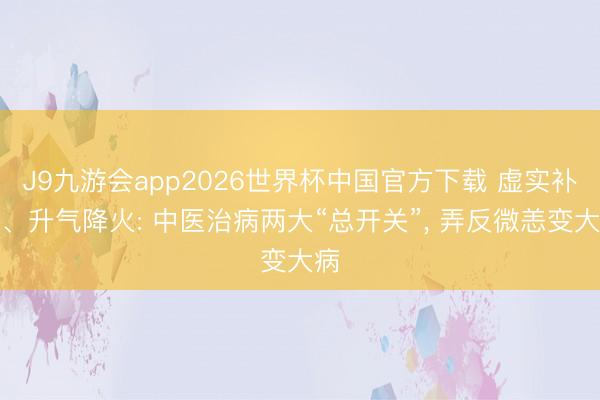 J9九游会app2026世界杯中国官方下载 虚实补泻、升气降火: 中医治病两大“总开关”， 弄反微恙变大病