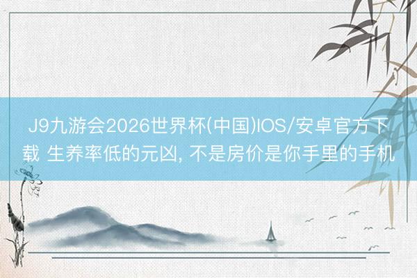 J9九游会2026世界杯(中国)IOS/安卓官方下载 生养率低的元凶， 不是房价是你手里的手机