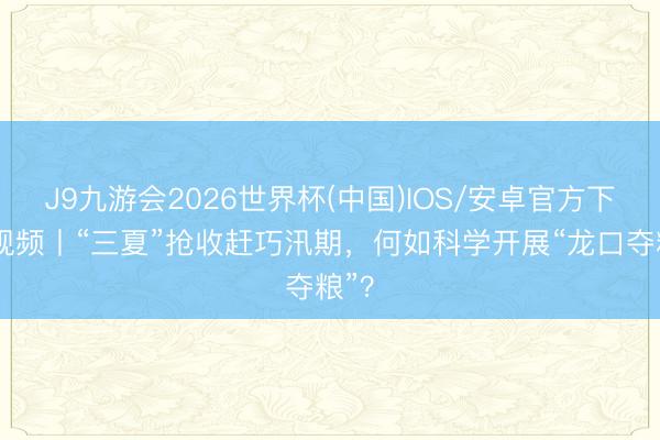 J9九游会2026世界杯(中国)IOS/安卓官方下载 视频丨“三夏”抢收赶巧汛期，何如科学开展“龙口夺粮”？